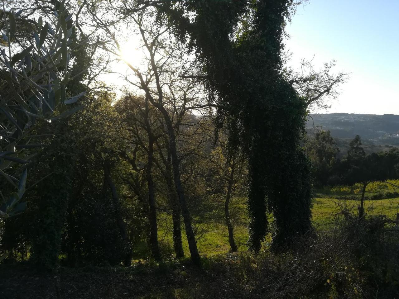 Quinta Vale Real Vila Alcobaça Exterior foto